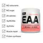 Recovery EAA + BCAAs Peach - 300g | 30 servings (new)