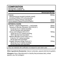 Prebiotic, Probiotic, Papaya Enzyme, Botanical Blend - 90 caps | 30 day supply