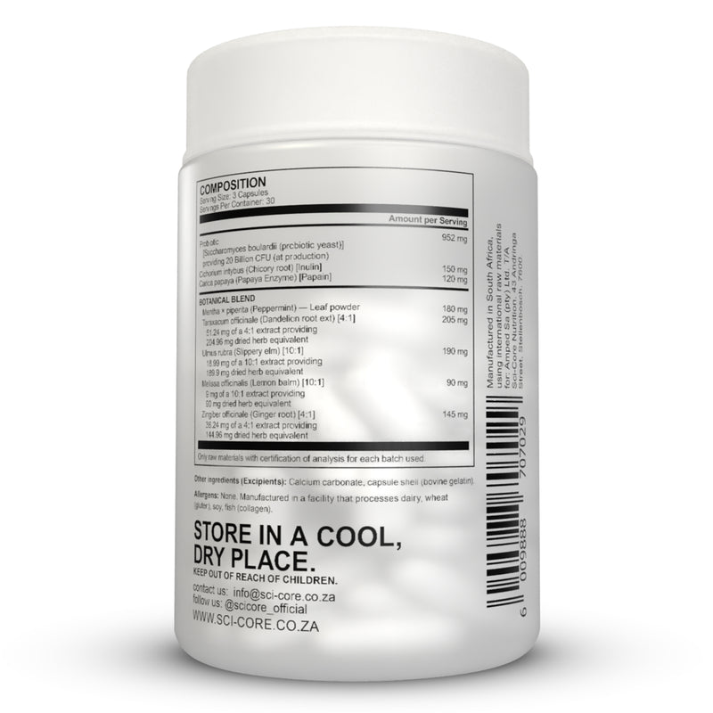 Prebiotic, Probiotic, Papaya Enzyme, Botanical Blend - 90 caps | 30 day supply