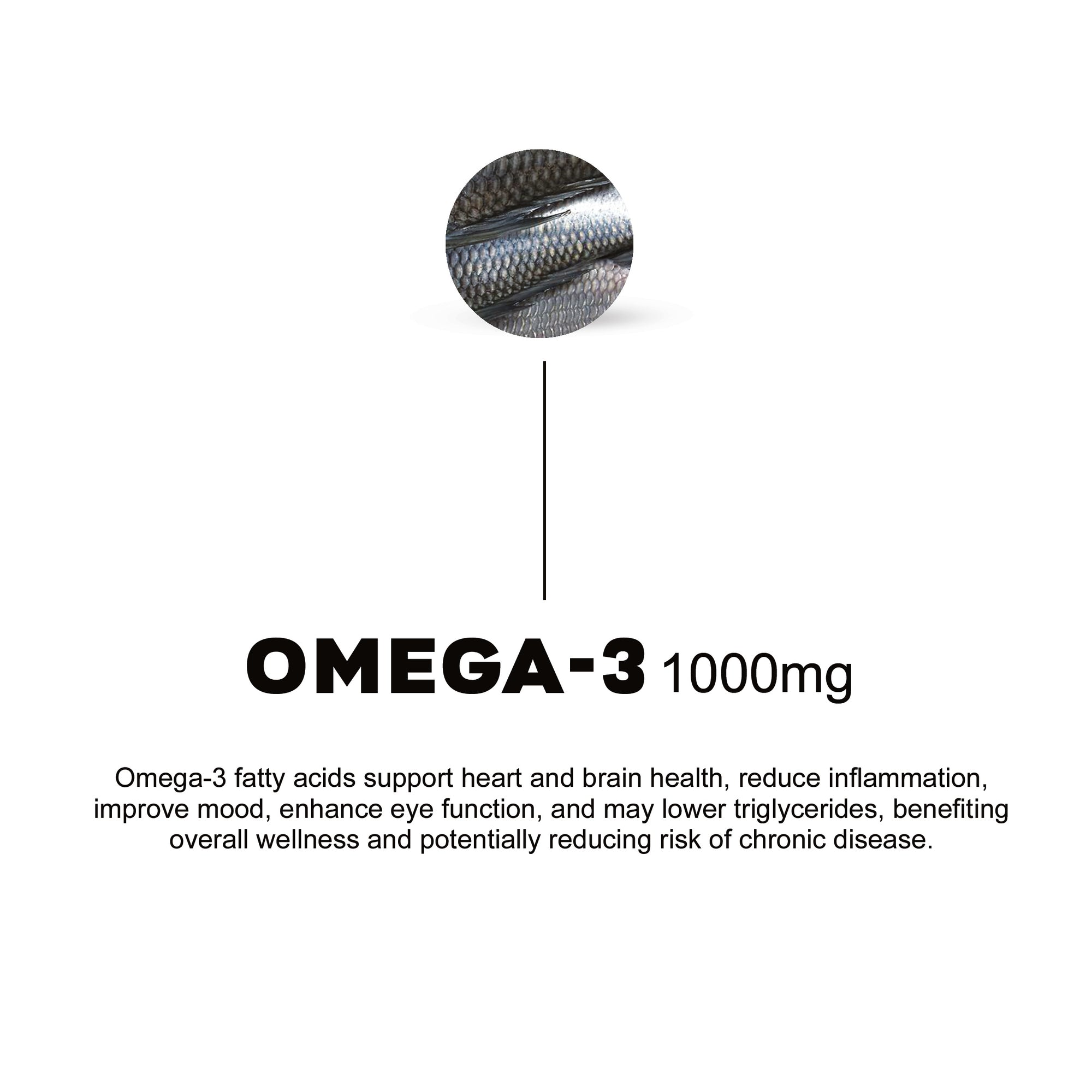 NAC, Magnesium, Omega 3, Vit D3 + K2, Rhodiola Rosea - 30 daily packs