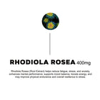 NAC, Magnesium, Omega 3, Vit D3 + K2, Rhodiola Rosea - 30 daily packs