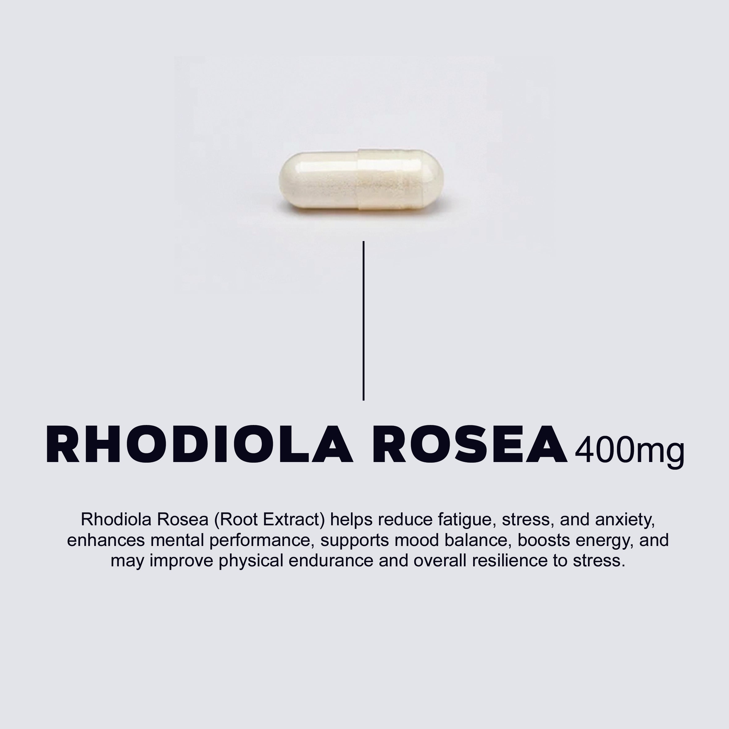NAC, Magnesium, Omega 3, Vit D3 + K2, Rhodiola Rosea - 30 daily packs
